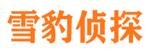 连云侦探公司